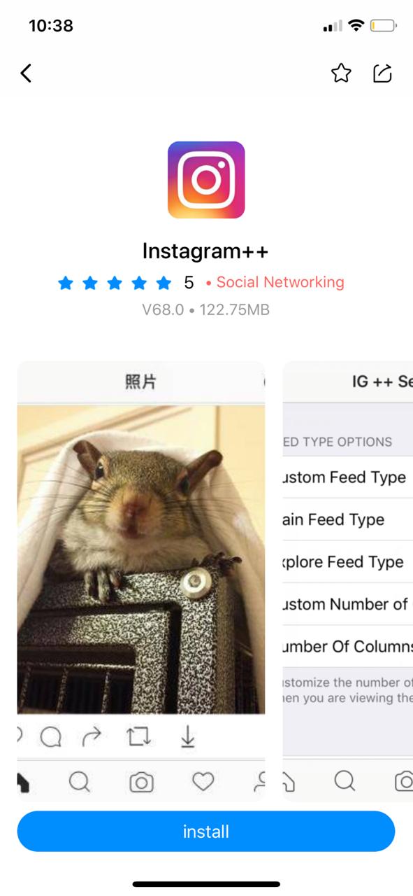 Install Instagram++ on iOS