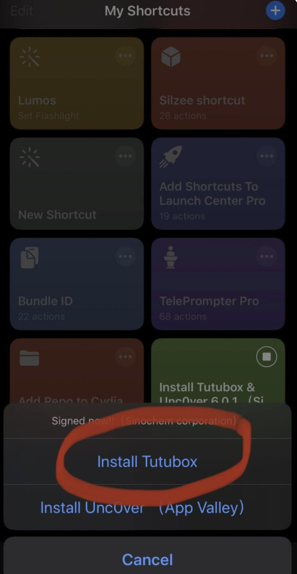 Install TuTuBox App on iOS