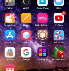iOS Haven App Installed